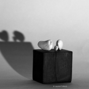 Capture d’écran 2021-12-31 à 11.58.17