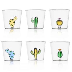 verre-cactus