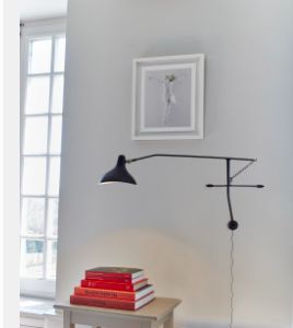 Applique Mantis BS2 - en situation